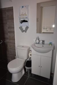 a bathroom with a toilet and a sink at Galotel Agnoudas near the airport in Markopoulo