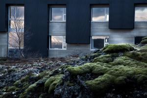 a building with windows and moss in front of a building at ION Adventure Hotel, Nesjavellir, a Member of Design Hotels in Nesjavellir