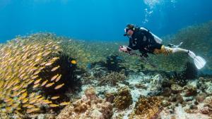 Hosté ubytování Forra Dive Resort Pattaya Beach
