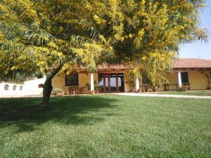 Gallery image of Agriturismo la Mimosa in Putzu Idu