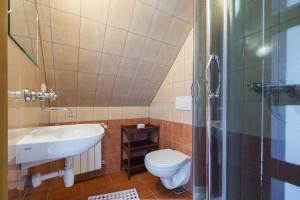 een badkamer met een toilet, een wastafel en een douche bij Pokoje gościnne "U Teresy" in Krościenko