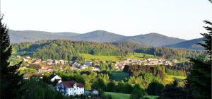 Gotteszell的住宿－FEWO-Kramheller-Gotteszell，山丘上的小镇,以山丘为背景