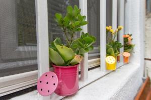 a pink potted plant sitting on a window sill at Apartment Skeja in Split