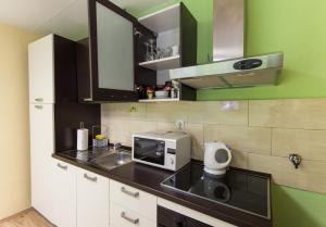 Kuchyňa alebo kuchynka v ubytovaní Apartment Skeja