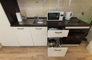 Kuchyňa alebo kuchynka v ubytovaní Apartment Skeja