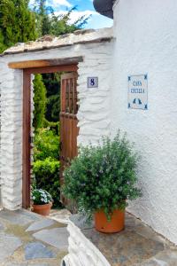 uma casa com uma porta e uma planta na frente dela em Casa Cecilia em Bubión