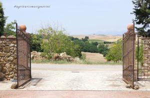 Gallery image of Agriturismo Signorini in Orciatico