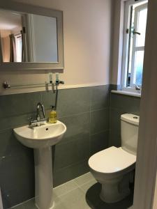 a bathroom with a toilet and a sink and a mirror at Mays Cottage Bed and Breakfast in Petersfield