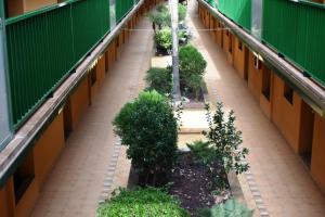 Fotografia z galérie ubytovania Apartament Ivan Eucaliptus 2 v destinácii Amposta