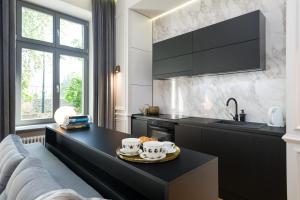 Kuchyň nebo kuchyňský kout v ubytování apartament PAULOVE