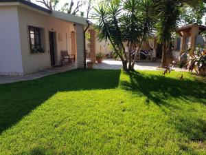 un patio con una palmera y una casa en Gentarrubia en Capoterra