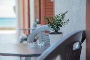 Příroda nedaleko hotelu + 37 fotografií