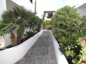 プラヤ・オンダにあるCasa Cariñoの植物の集まる建物の中間歩道