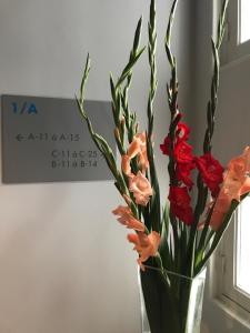 Fotografie z fotogalerie ubytování Smartappart Lorient v destinaci Lorient