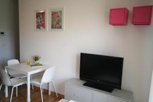 Televízia a/alebo spoločenská miestnosť v ubytovaní Apartman Matea