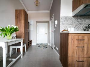 Kuchyňa alebo kuchynka v ubytovaní Apartamenty Wrona | Wrona Apartments