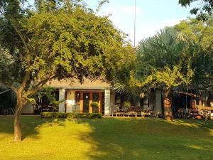 a house with a green yard with a tree at Kruger Allo B&B in Komatipoort
