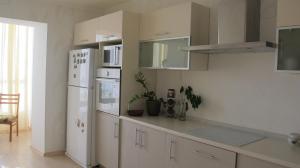Η κουζίνα ή μικρή κουζίνα στο Apartment "Ostrova"