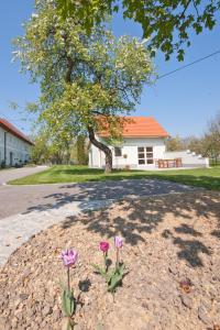 Gallery image of Landhaus Essl in Dietach