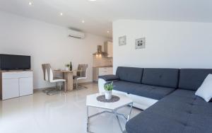 Televízia a/alebo spoločenská miestnosť v ubytovaní Apartments Đordić