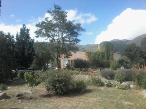 un jardín con un árbol y montañas en el fondo en Casa de Montaña Sacha Huasi en Tafí del Valle