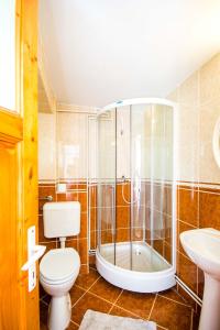 a bathroom with a toilet and a shower and a sink at Pensiunea Iozefina in Moieciu de Jos +42 photos
