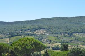 uma vista para um vale com árvores e uma montanha em damario panorama em Panzano
