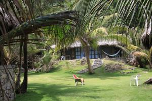 Gallery image of Bahia Lodge in Capurganá