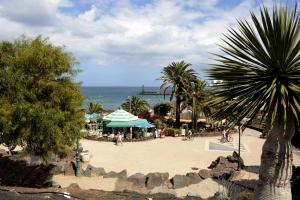 einen Strand mit einer Palme und dem Meer in der Unterkunft Casa Melera in Costa Teguise
