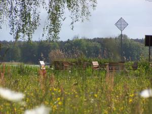 a group of benches in a field with flowers at Ferien in Himmelpfort in Himmelpfort