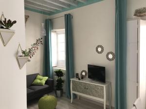 Televízia a/alebo spoločenská miestnosť v ubytovaní Apartamento Aromas del Mercado