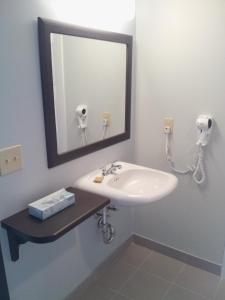 a bathroom with a sink and a mirror at Midland Inn & Suites in Midland