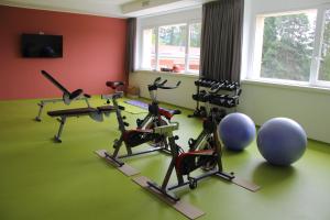 Fitness centrum a/nebo fitness zařízení v ubytování Hotel Milano