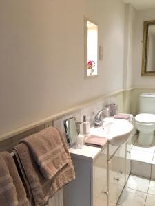 a bathroom with a sink and a toilet at The Hollies Bed and Breakfast in Uppingham