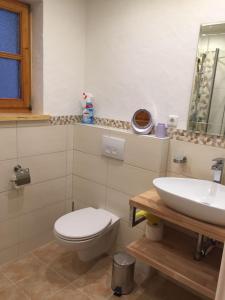 a bathroom with a toilet and a sink at Landhaus Lex in Füssen