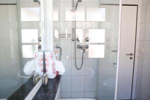 Hotel Müllerbräu في بفافنهوفن أن در إلم: حمام مع دش ومرحاض