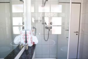 a bathroom with a shower and a toilet at Hotel Müllerbräu in Pfaffenhofen an der Ilm