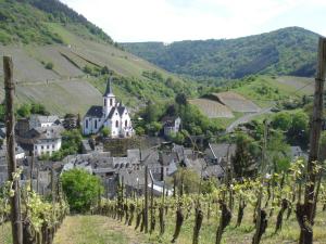 Gallery image of Ferienwohnung Lydia in Traben-Trarbach