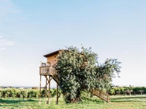 una casa en el árbol en medio de un campo en Conversas de Alpendre en Vila Nova de Cacela