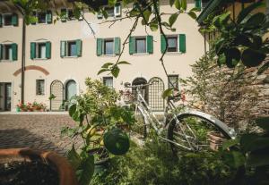 圣塔布罗焦迪瓦尔波利切拉A Casa di Tom的停在建筑物前的自行车