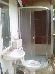 a bathroom with a shower and a toilet and a sink at Vila Rapsodiei in Constanţa