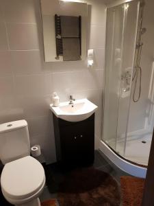 アウグストゥフにあるKwatera prywatnaのバスルーム(トイレ、洗面台、シャワー付)