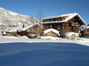 Gallery image of Bergdohle in Adelboden