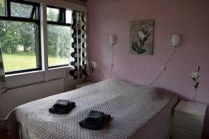 Billede fra billedgalleriet på Hotel Hanhi i Lapinjärvi + 12 billeder