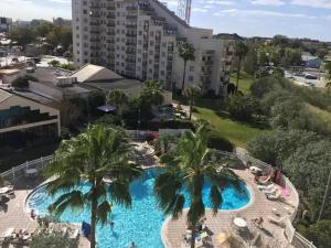 - une vue sur la grande piscine bordée de palmiers dans l'établissement Enclave Apartments at International Drive, à Orlando