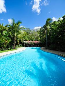 a swimming pool with blue water and palm trees at Hotel Playa Cambutal in Cambutal