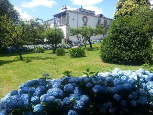 Pazo Vilabade في Vilabade: كومة من الزهور الزرقاء أمام المبنى
