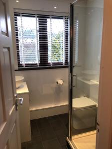 ein Bad mit einer Dusche, einem WC und einem Fenster in der Unterkunft The Golden Larches in Lochearnhead