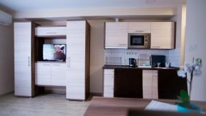 Kuchyň nebo kuchyňský kout v ubytování Irány Colorado Apartman