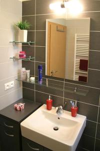 Koupelna v ubytování Apartmína